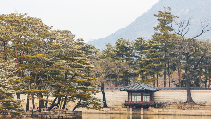 heiliao 场景参考图